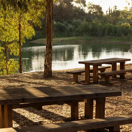 Apartment Modern First Floor Apartment, With Private Terrace Garden And Barbecue, In First Line Of Aloha Golf, In Nueva Andalucia